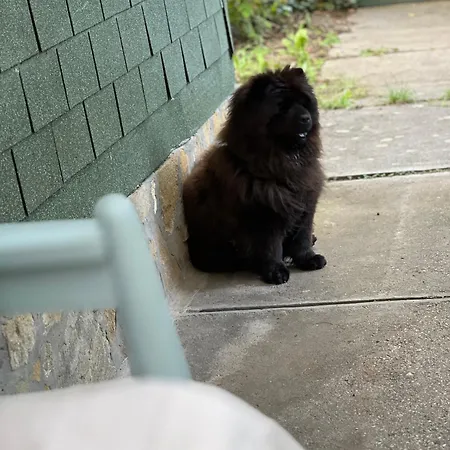 Сasa de vacaciones Rege 32 Szántód