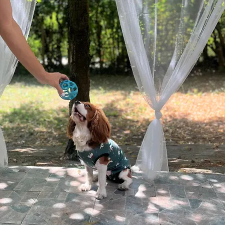 Rege 32 Сasa de vacaciones *