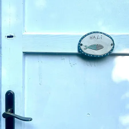 Vakantiehuis Rege 32 Vendeghaz