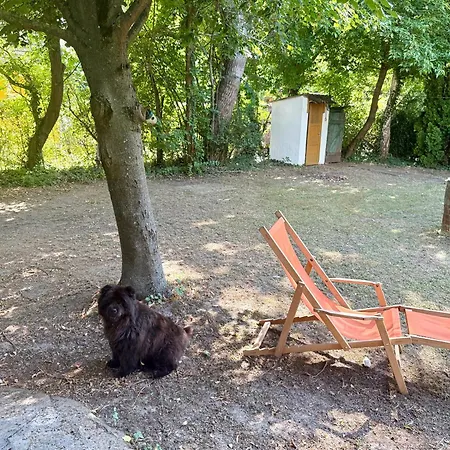 Rege 32 Vendeghaz Σπίτι διακοπών Szántód