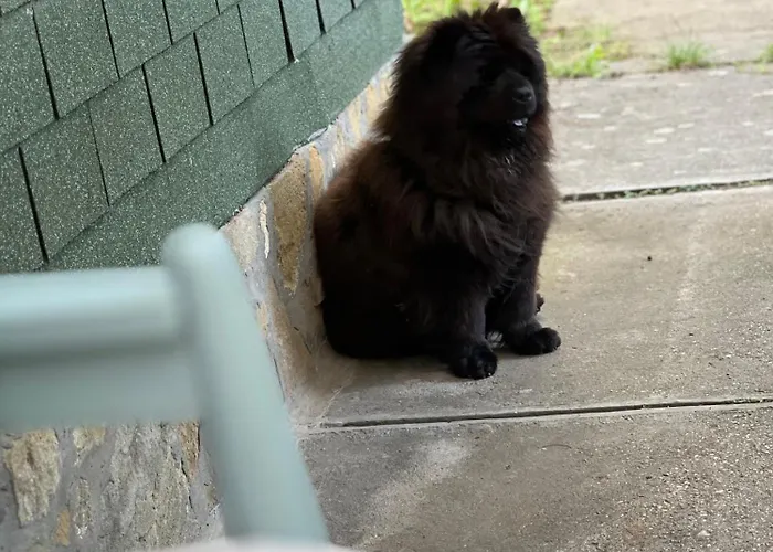 Casa de Férias Rege 32 Szántód