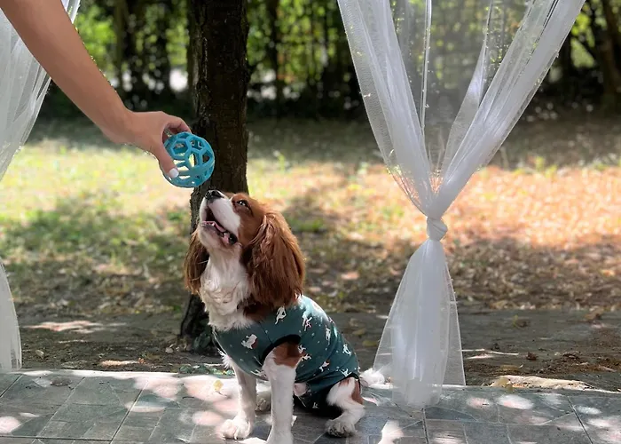 Rege 32 Casa de Férias *