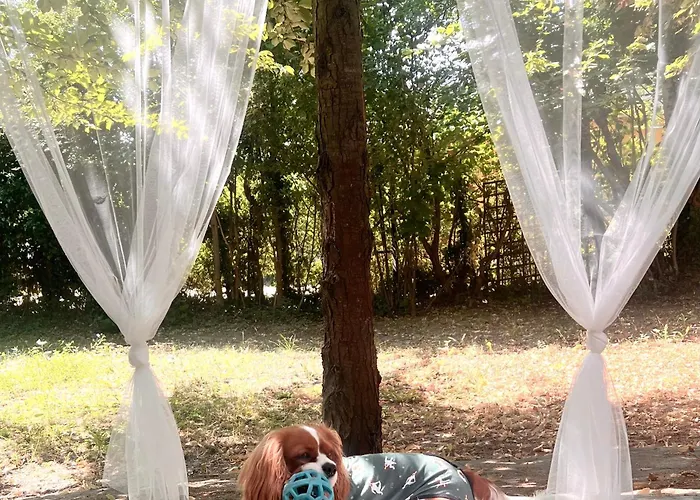 Rege 32 Casa de Férias Szántód